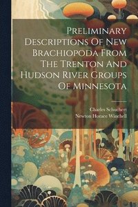 bokomslag Preliminary Descriptions Of New Brachiopoda From The Trenton And Hudson River Groups Of Minnesota