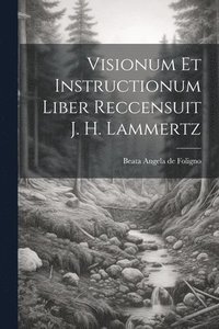 bokomslag Visionum Et Instructionum Liber Reccensuit J. H. Lammertz