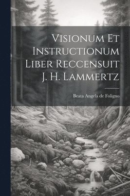 Beata Angela de Foligno - Visionum Et Instructionum Liber Reccensuit J. H. Lammertz, Häftad