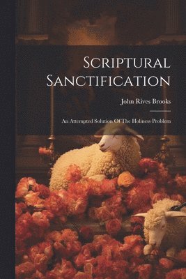 bokomslag Scriptural Sanctification