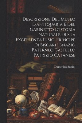 bokomslag Descrizione Del Museo D'antiquaria E Del Gabinetto D'istoria Naturale Di Sua Excellenza Il Sig. Principe Di Biscari Ignazio Paternlo Castello Patrizio Catanese