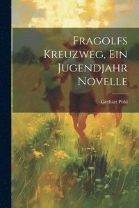 bokomslag Fragolfs Kreuzweg, Ein Jugendjahr Novelle