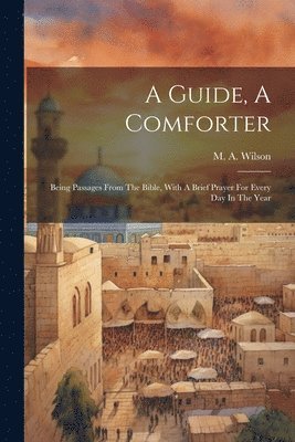 bokomslag A Guide, A Comforter