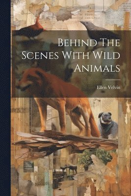 bokomslag Behind The Scenes With Wild Animals