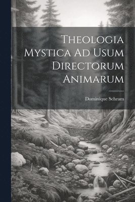 Dominique Schram - Theologia Mystica Ad Usum Directorum Animarum, Häftad