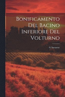 bokomslag Bonificamento Del Bacino Inferiore Del Volturno