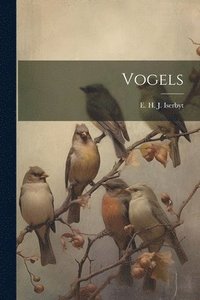 bokomslag Vogels