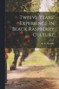 bokomslag Twelve Years' Experience In Black Raspberry Culture