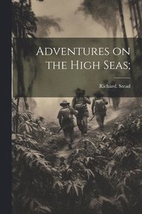 bokomslag Adventures on the High Seas;