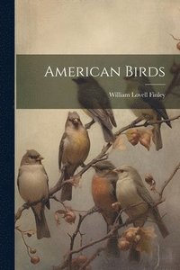 bokomslag American Birds