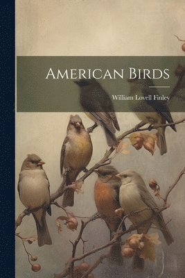 American Birds 1