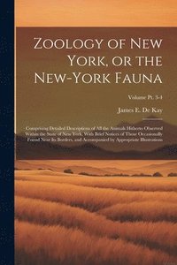 bokomslag Zoology of New York, or the New-York Fauna