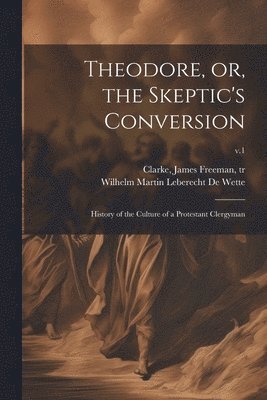 bokomslag Theodore, or, the Skeptic's Conversion