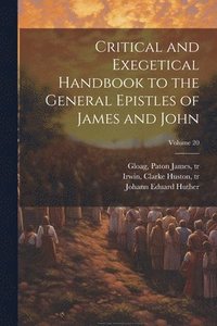 bokomslag Critical and Exegetical Handbook to the General Epistles of James and John; Volume 20