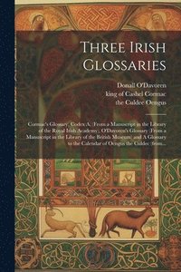 bokomslag Three Irish Glossaries