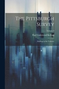bokomslag Pittsburgh Survey; Findings in Six Volumes; Volume 3