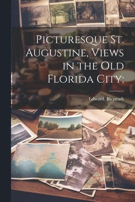Edward Bierstadt - Picturesque St. Augustine, Views in the Old Florida City;, Häftad