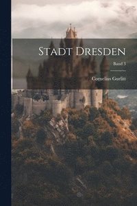 bokomslag Stadt Dresden; Band 3
