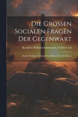 bokomslag Die grossen socialen Fragen der Gegenwart