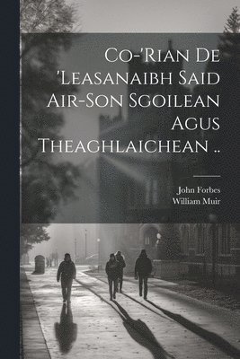 bokomslag Co-'rian De 'leasanaibh Said Air-son Sgoilean Agus Theaghlaichean ..