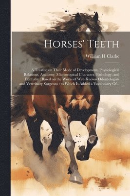 bokomslag Horses' Teeth