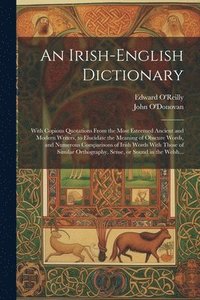 bokomslag An Irish-English Dictionary