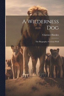 bokomslag A Wilderness Dog; the Biography of a Gray Wolf