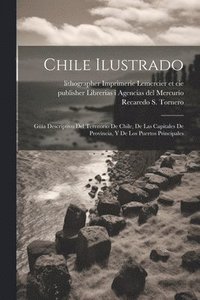 bokomslag Chile ilustrado