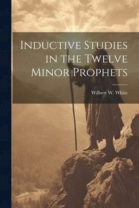 bokomslag Inductive Studies in the Twelve Minor Prophets