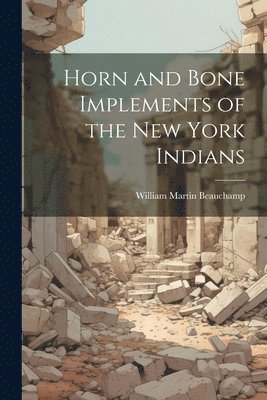 bokomslag Horn and Bone Implements of the New York Indians
