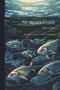 bokomslag Norges fiske
