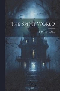 bokomslag Spirit World