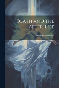 bokomslag Death and the After-life