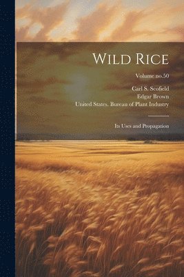 Wild Rice 1