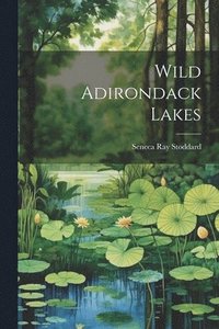 bokomslag Wild Adirondack Lakes