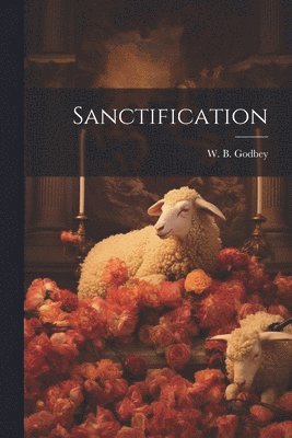 bokomslag Sanctification