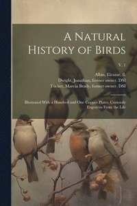 bokomslag A Natural History of Birds