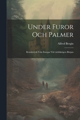bokomslag Under furor och palmer; reseintryck från Europa vid världskrigets början