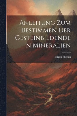 bokomslag Anleitung zum Bestimmen der gesteinbildenden Mineralien