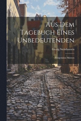 Georg Steinhausen - Aus Dem Tagebuch Eines Unbedeutenden, Häftad