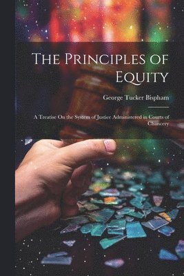 bokomslag The Principles of Equity