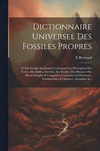 bokomslag Dictionnaire Universel Des Fossiles Propres