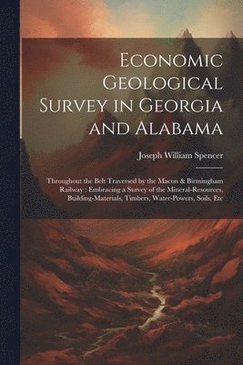 bokomslag Economic Geological Survey in Georgia and Alabama