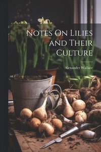 bokomslag Notes On Lilies and Their Culture