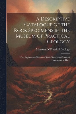 bokomslag A Descriptive Catalogue of the Rock Specimens in the Museum of Practical Geology