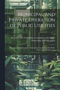 bokomslag Municipal and Private Operation of Public Utilities