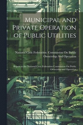 Municipal and Private Operation of Public Utilities