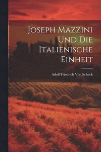 bokomslag Joseph Mazzini Und Die Italienische Einheit