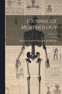 bokomslag Journal of Morphology; Volume 13