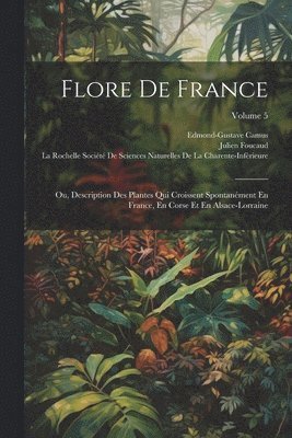 bokomslag Flore De France